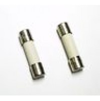 FUSIBILE CERAMICO RITARDATO DI TIPO T 1,6A 250V 5x20mm (2 Pezzi)
