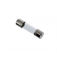 FUSIBILE RITARDATO T 0,1A (100mA) 250V 5x20mm in vetro